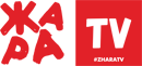 Жара TV 290 МГц (ск-18, QAM 256, 6875Ksps)