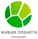 Живая планета 322 МГц (ск-22, QAM 256, 6875Ksps)